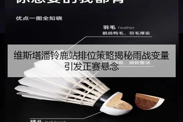 维斯塔潘铃鹿站排位策略揭秘雨战变量引发正赛悬念